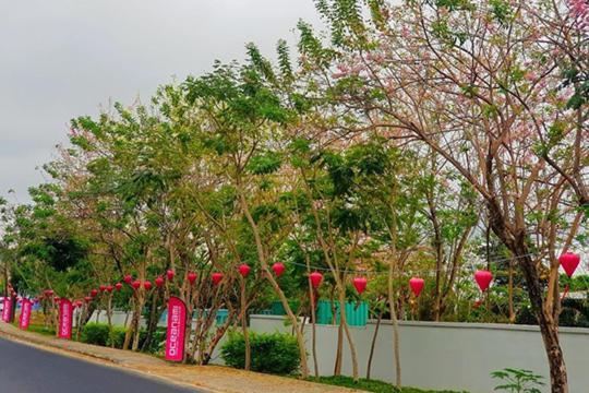 Lovely Room Oceanami Resort لونغ  هاي المظهر الخارجي الصورة